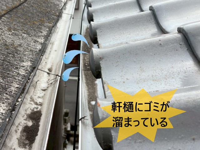 軒樋　ゴミ